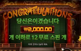 추가스핀 ４개 사무라이