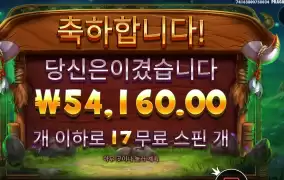 바이슨 보난자 윈으로 마무리