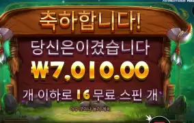 바이슨 기본 2콩