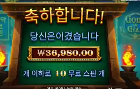 기자 센세 그거야