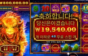 스탬피드 너무하누