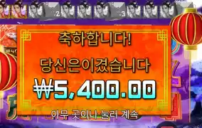 드래곤 예쁜이 자주와