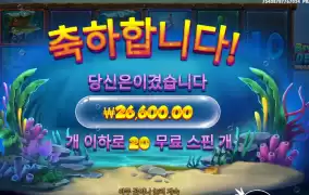 ４겜블 비웨더딥