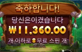 바이슨  8스핀 3보너스