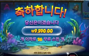 비웨더딥 3겜블