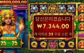 스핀 5추가 파이어버드