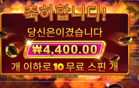 묻고 더블로 가봅다