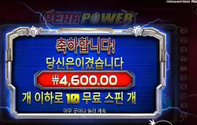 슈퍼스핀 구매해야하나