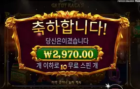 카토야 집중하자