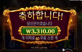 가토 기본스핀 후기