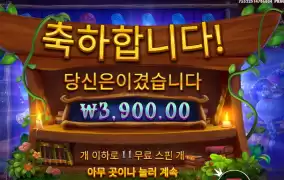 스펠바인딩 11스핀