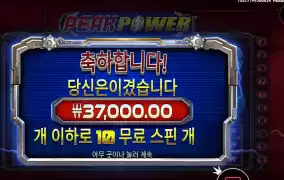 피크전력 ３７천원
