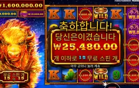 스탬피드 추가 스핀없이