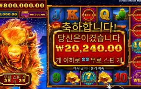 스탬피드 25스핀