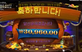 파일럿스 펍 155배