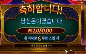 자스민 바닥 6스핀