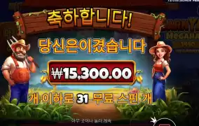 ３１스핀 반야드