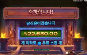 고양이 22천원