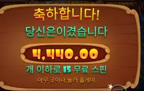 개집 레이닝 픽