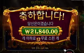 카토야 배수가 약하다