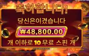 칩스칩스 캐시칩스 48천원