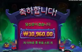 인펙티드와일드 11스핀