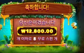 확장와일드 8스핀