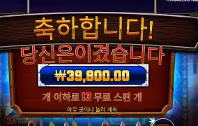 머스탱 텐션올려