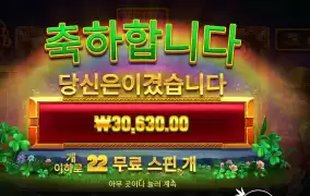 오골드 3콩