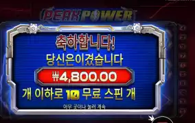 피크파워 １０스핀