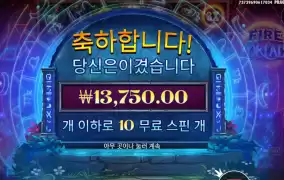 포탈 파이어 １０스핀