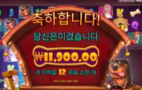 개집 ３번째 단계인데