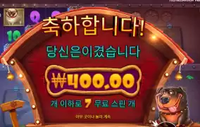 개집 파괴합니다