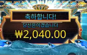 황금잉어 잡아보자