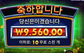 도둑 ４콩 배팅