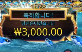 생선 저 맘에 안들죠