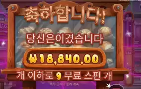 와일디즈 ９스핀 후기