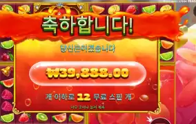 후르츠멀티홀드 200배