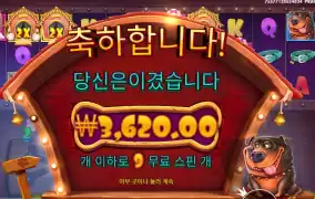 더도그멀티홀드 ９스핀