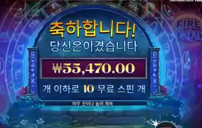 파이어포탈 ２７７배