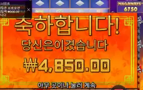 용용이 아침부터 왜그려