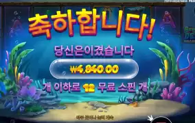 비웨더딥 4겜블