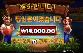 반야드 １３스핀