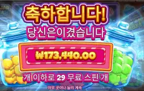 캔디 자 클러스터 ４３３배