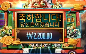 드래곤 킹 그린 드래곤 초이스