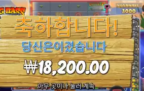 빅배스 홀드 앤 스피너