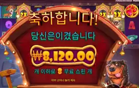 개집 멀티홀드 후기