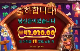 개집 멀티홀드 ２１５배