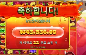 쥬시 후르츠 멀티홀드