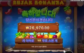 루작 보난자 135배